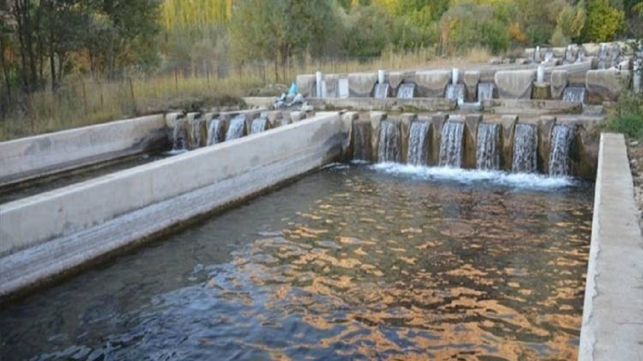 ایجاد شهرک‌های شیلات در استان اردبیل