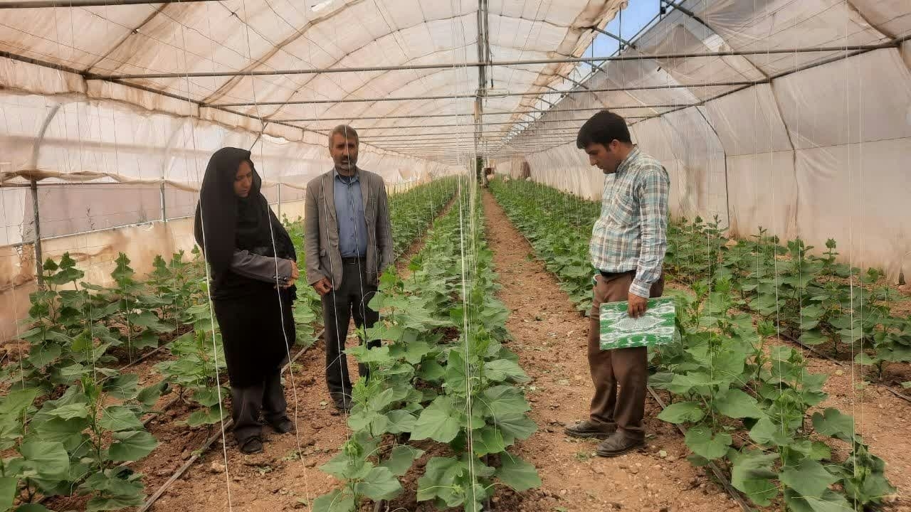 بررسی و الزام گلخانه داران شهرستان فارسان به اخذ QR Code