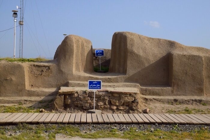جام طلایی حسنلو