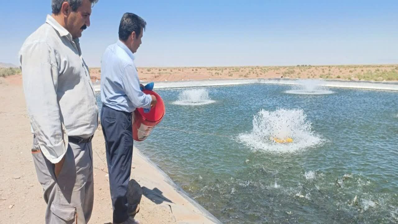 افزایش تولید گوشت آبزیان با الحاق ۴ چاه برای پرورش ماهی در نیشابور