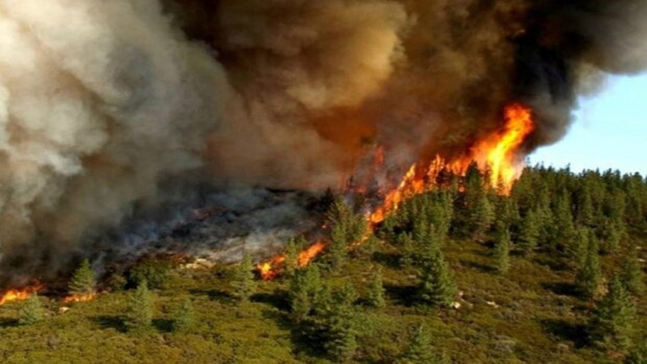 مهار آتش سوزی در جنگل‌های ارسباران