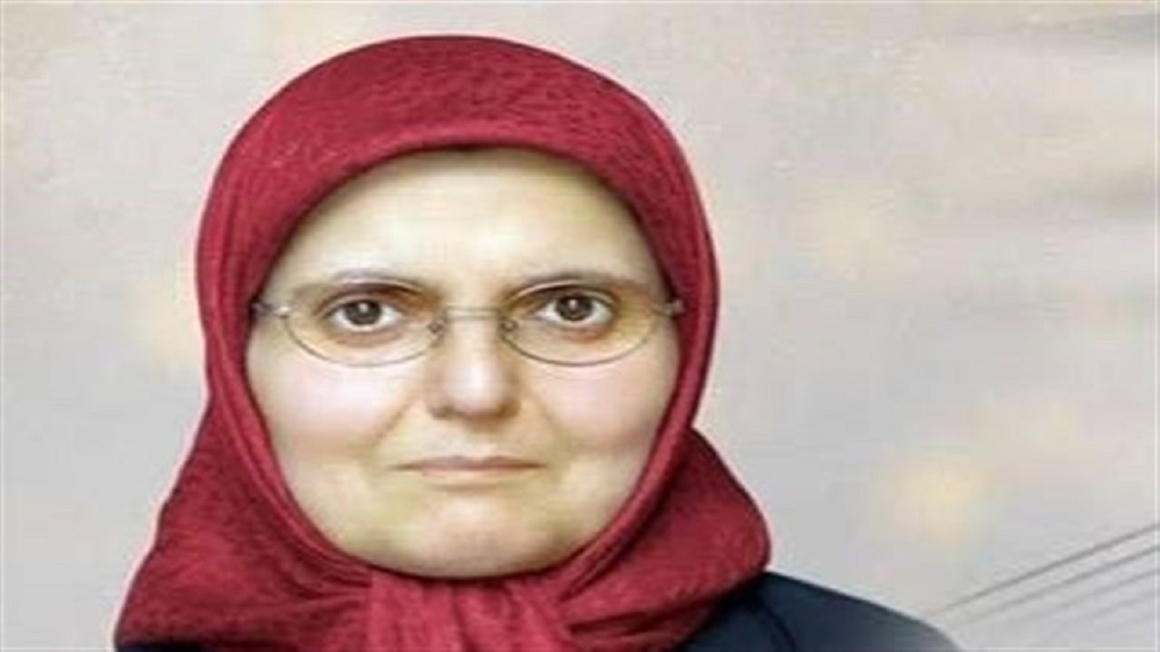 منیر دژ