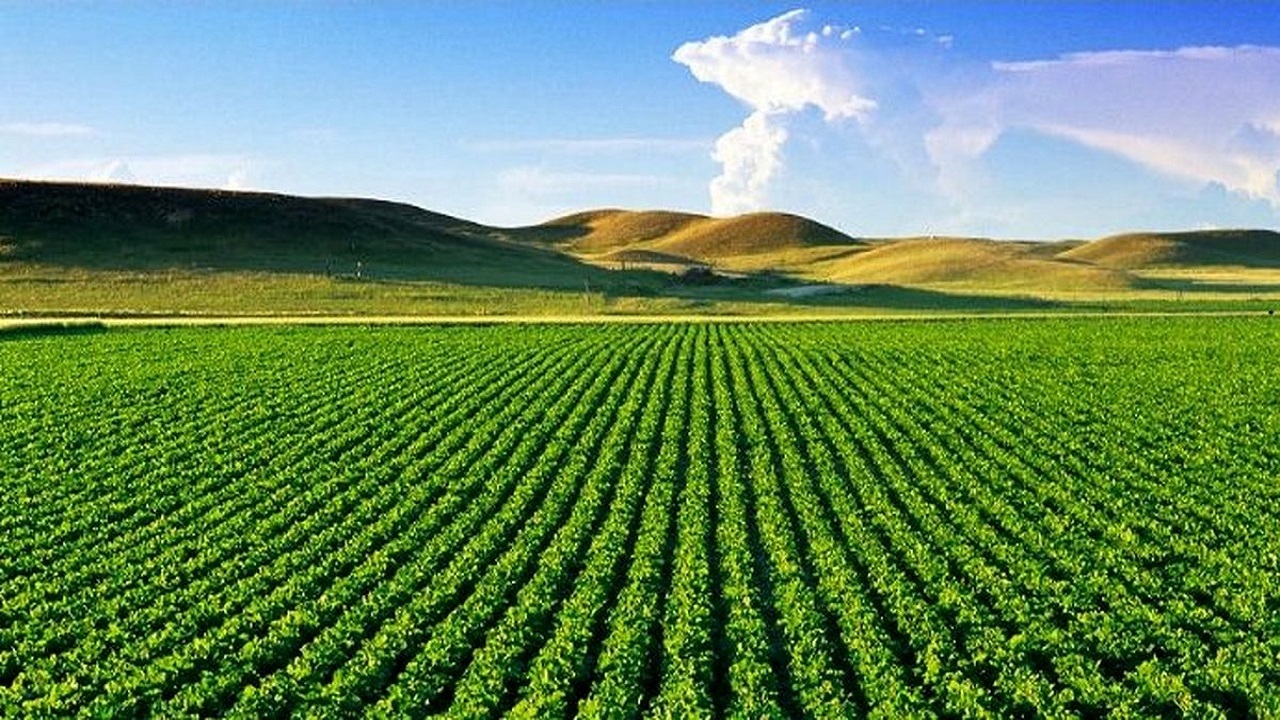 برای نجات دریاچه ارومیه اجرای الگوی کشت ضروری است