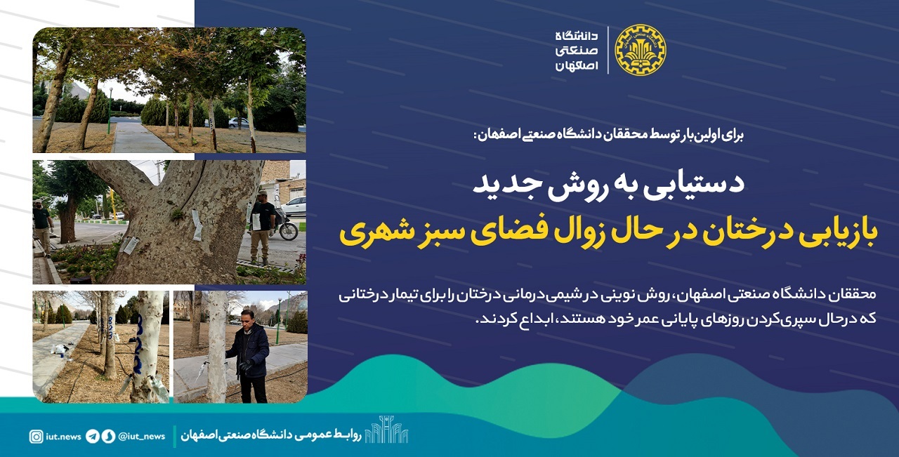 دستیابی به روش جدید برای بازیابی درختان در حال زوال فضای سبز شهری