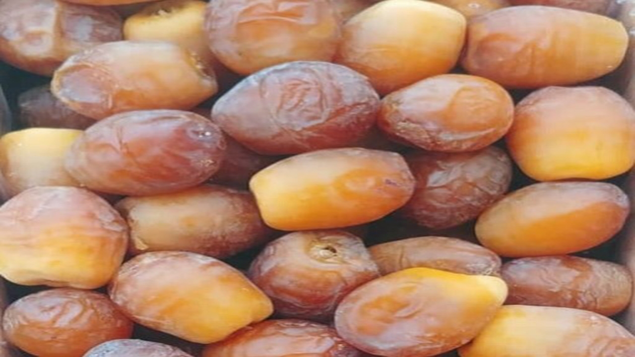 رطب