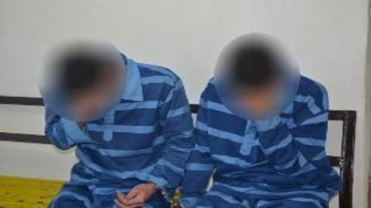 دستگیری سارقان وسایل و ادوات کشاورزی در  زابل