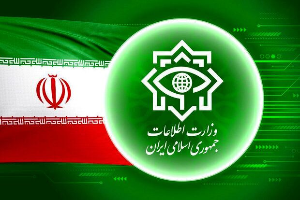 ۱۹۶ تروریست تکفیری معدوم یا بازداشت شدند