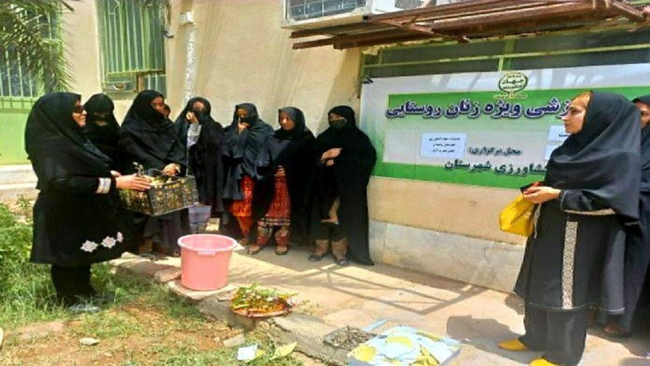 بمنظور ارتقای دانش بهره‌برداران ۷۰ دوره آموزشی و ترویجی در زاهدان برگزار شد
