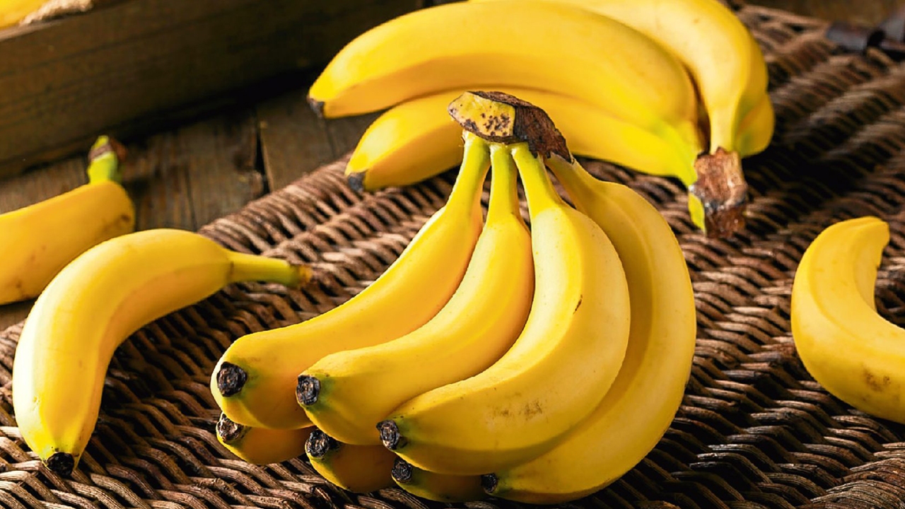 مراحل نگهداری و برداشت درخت موز + فیلم