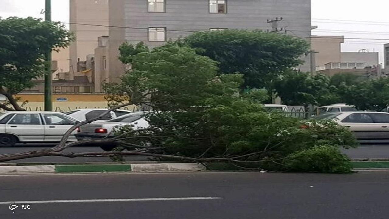 سرعت تندباد در میاندوآب به ۷۴ کیلومتر در ساعت رسید