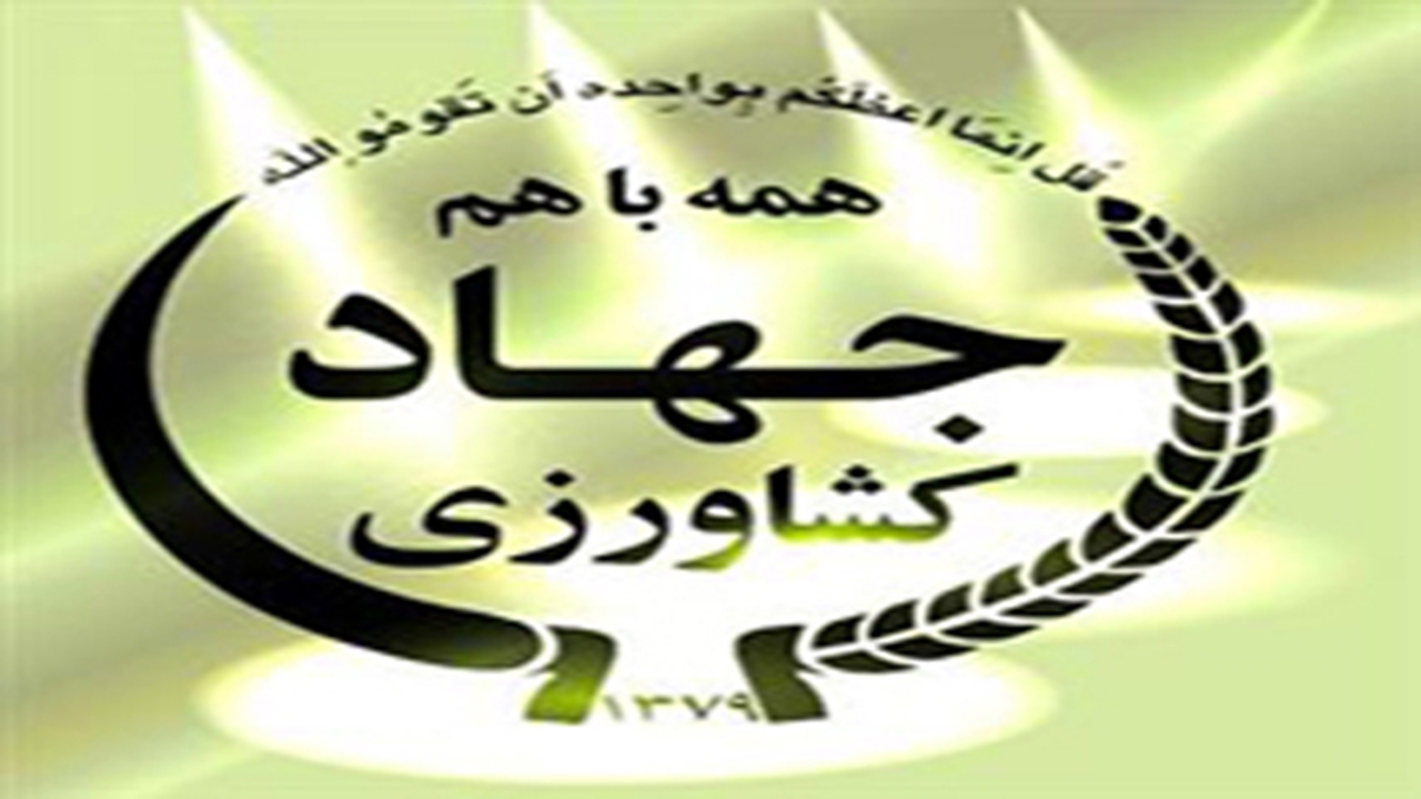 از تولید لوبیا در مرودشت تا تیمار قنات تیمارجان و بازگشت حیات به آن