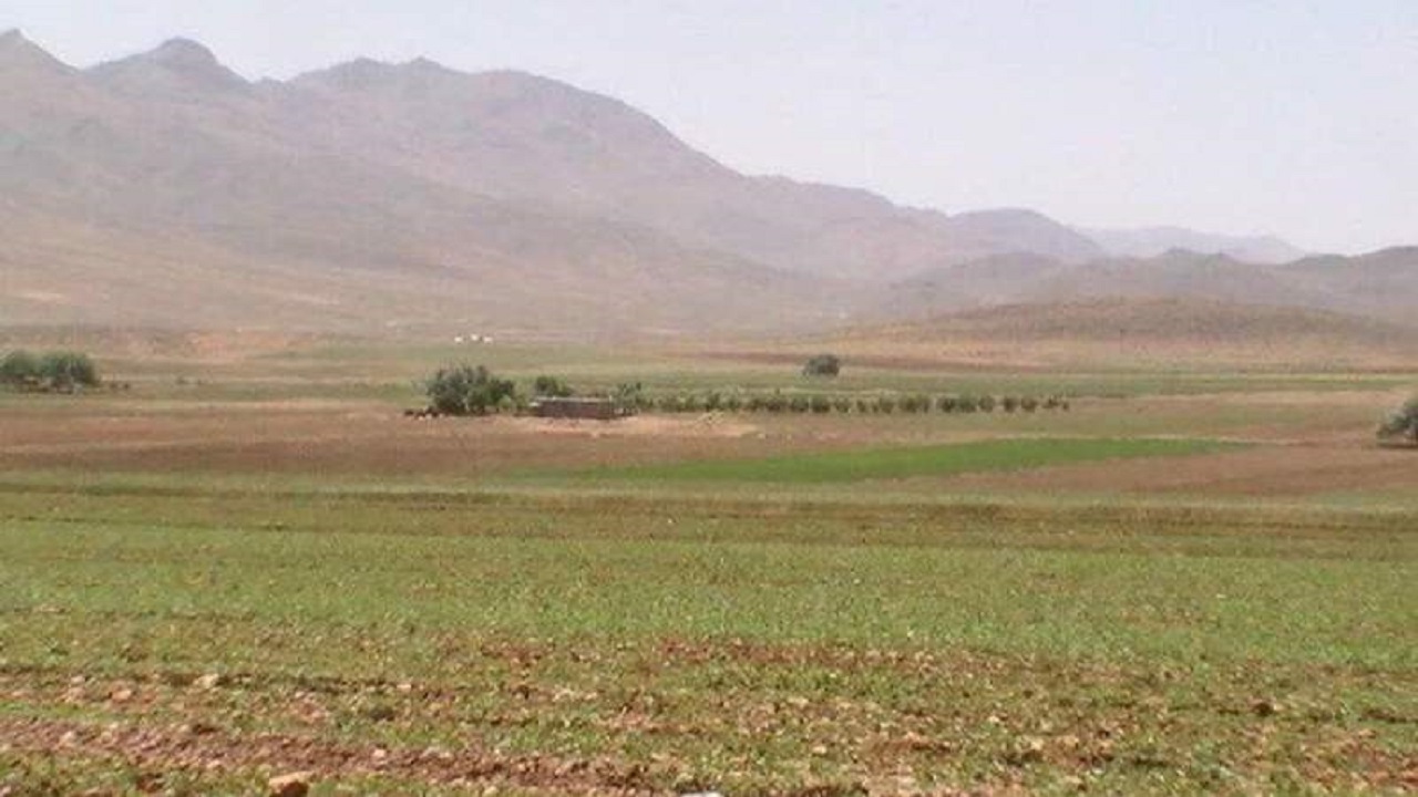 رفع تداخل محدوده ۴۰ پلاک در اراضی حوزه شهرستان خاش