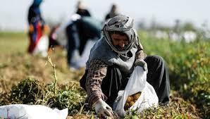 افزایش ۲۰ درصدی حقوق مستمری بگیران‌ روستایی