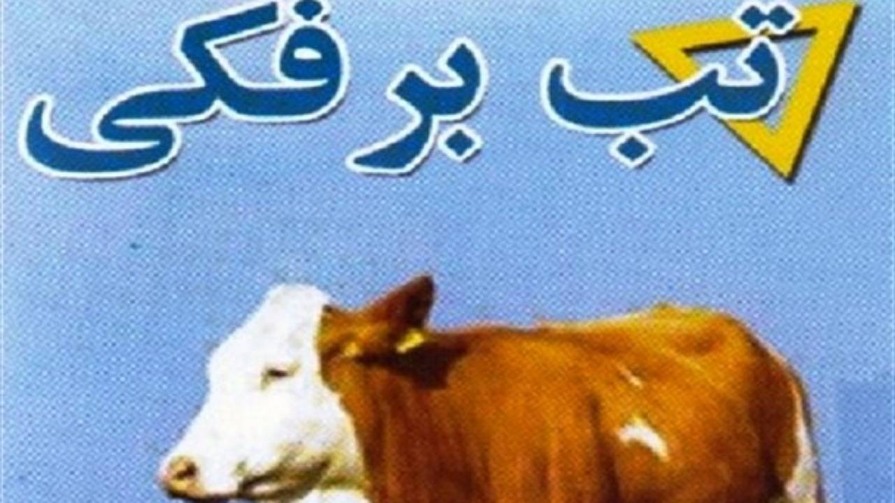  هشدار شبکه دامپزشکی کرمان در خصوص بیماری تب برفکی
