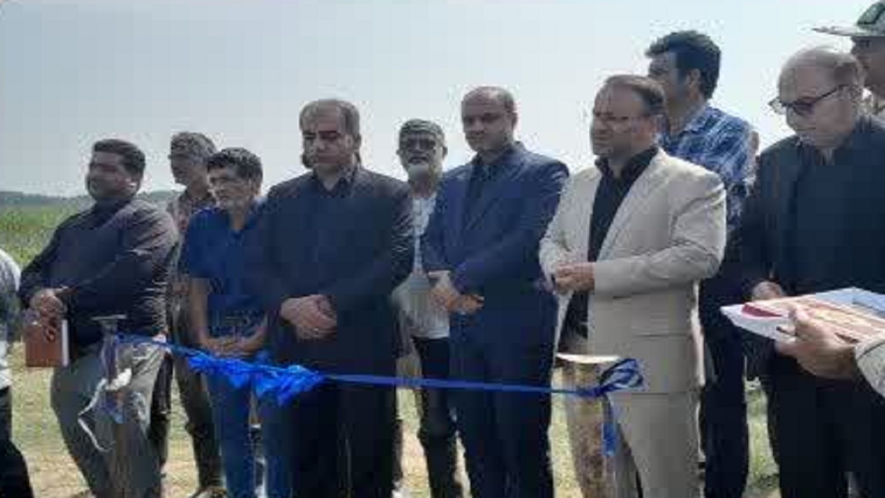 رهاسازی ۲۰ میلیون قطعه بچه ماهی کپور در مازندران