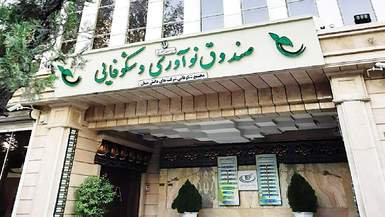 طراحی بسته صادراتی برای شرکت‌های دانش‌بنیان