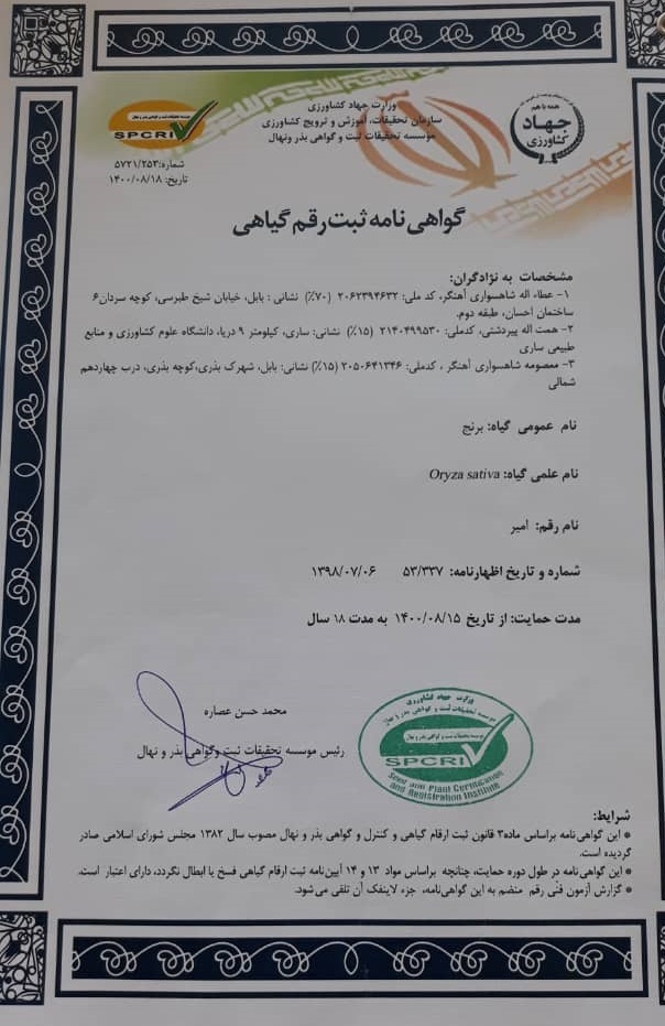با امیر دو برابر بیشتر برنج برداشت کنید