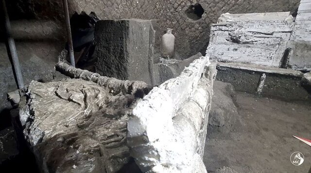 برده&zwnj;ها