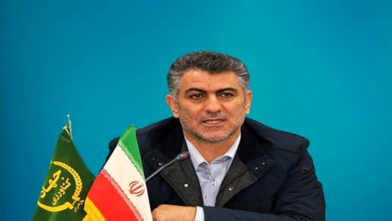 محدودیت مالی برای مبارزه با آفت سوسک سرخرطومی نداریم