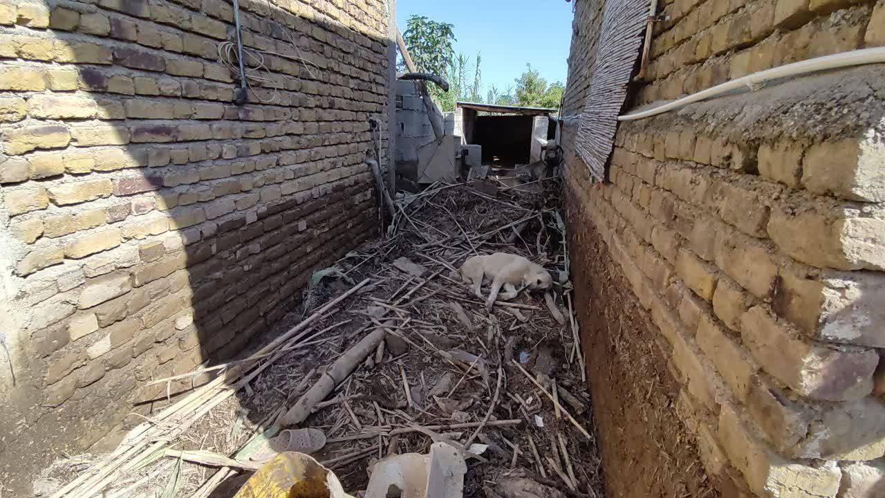 سیل به منازل روستای قورچای خسارت زد