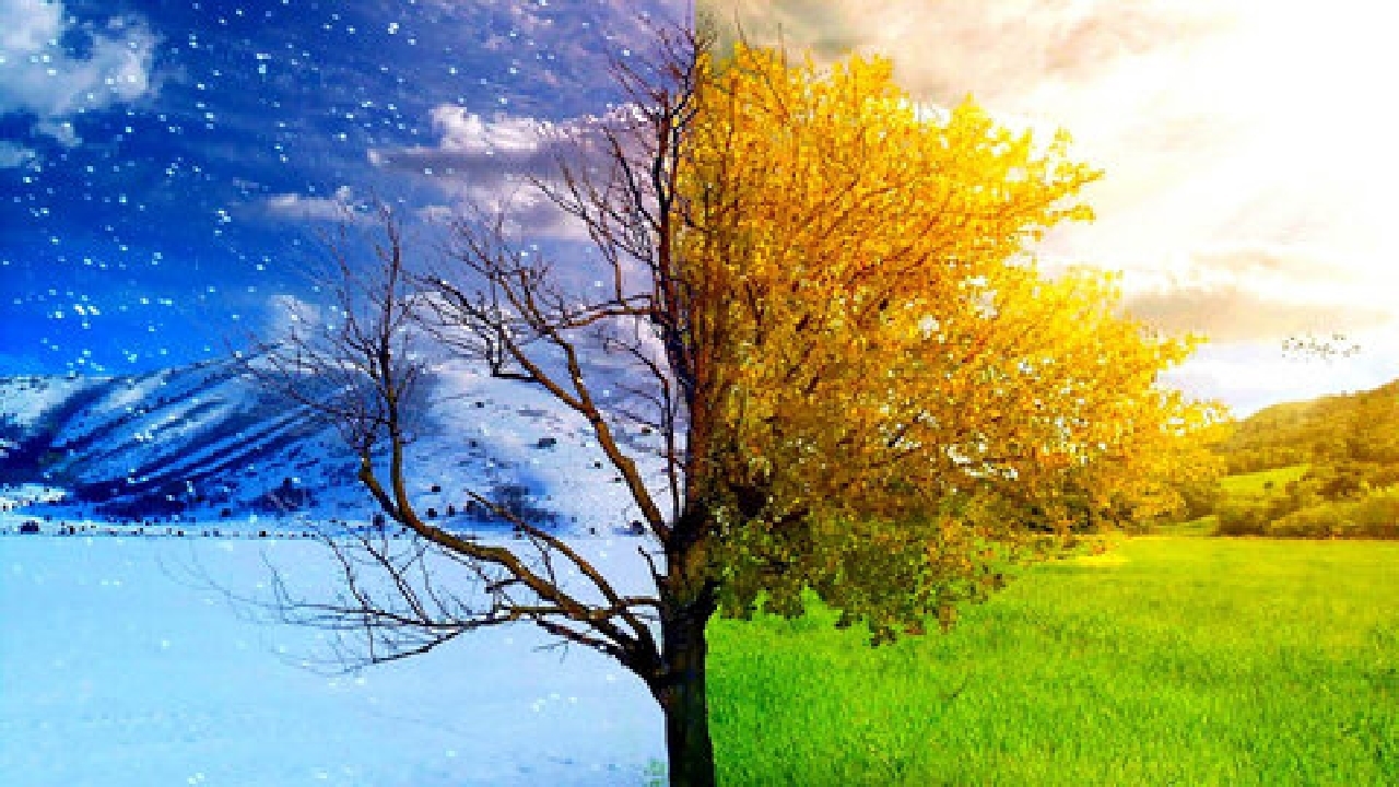 فیلمی منحصربه فرد از تغییر فصل در مکانی مشترک