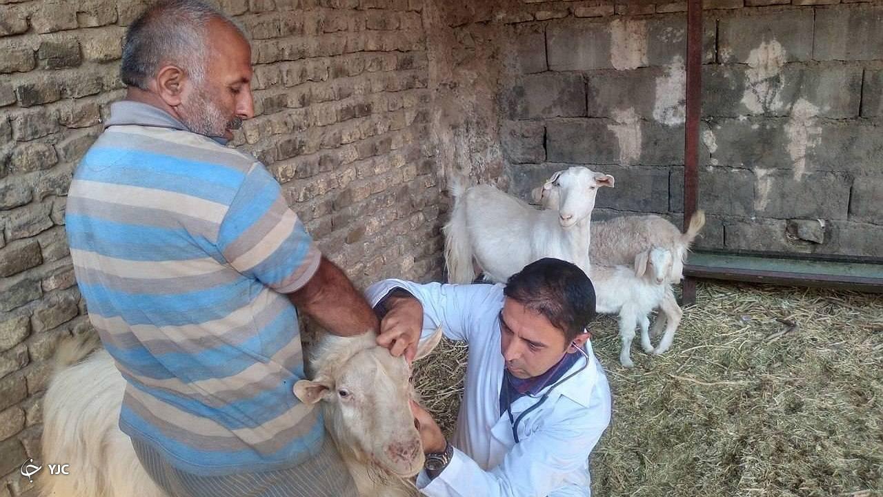 اردوی جهادی شبکه دامپزشکی کرمان در روستای استخروییه