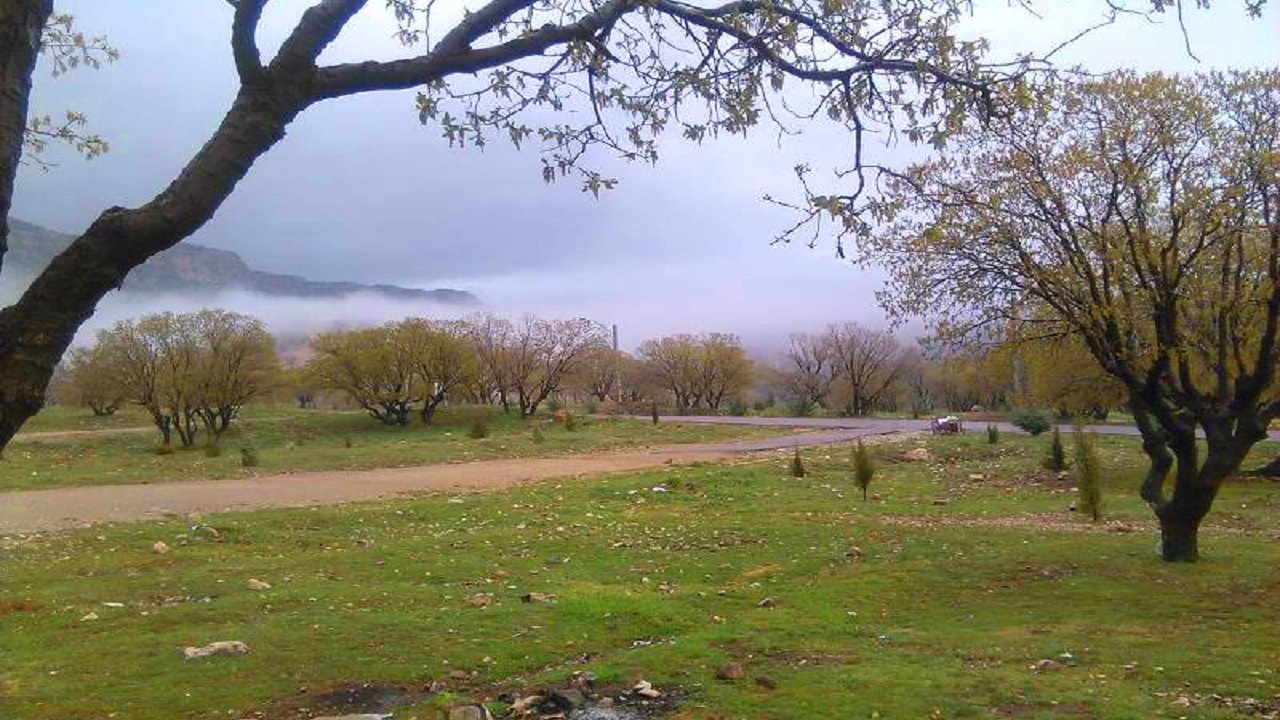 ظرفیت اسکان ۵۰ هزار زائر در بوستان بلوط ایلام فراهم است