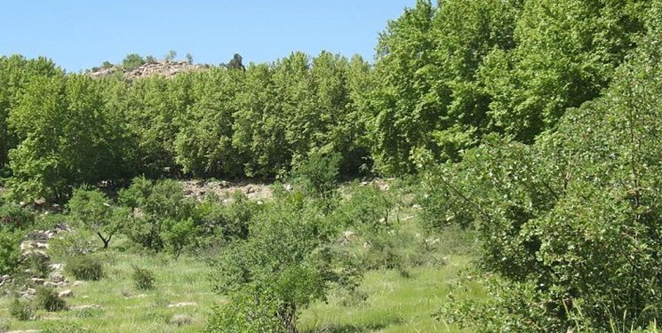اعاده ۲۲۵ هکتار از اراضی ملی به بیت المال در اردبیل