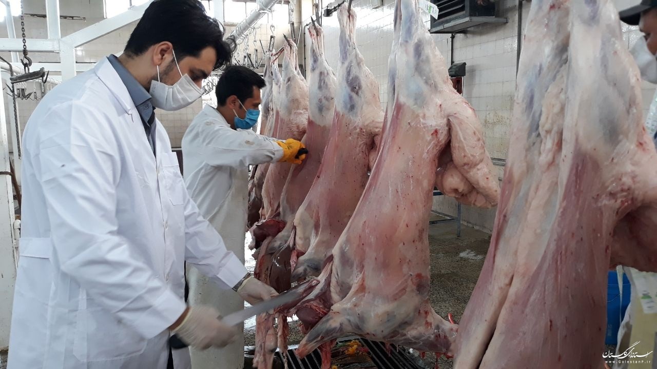 نظارت ۳۱ اکیپ دامپزشکی بر نذورات تاسوعا و عاشورا در استان همدان