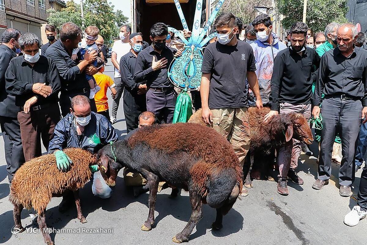 جشنواره ملی آش ایرانی در زنجان