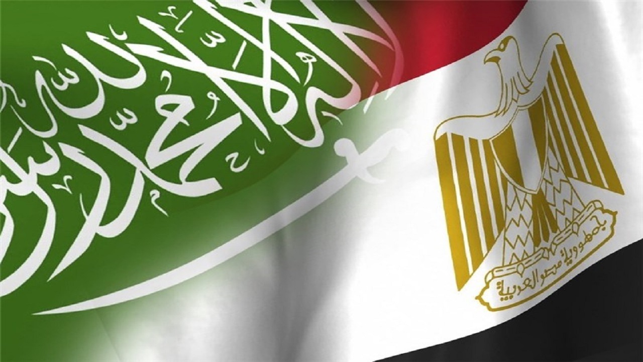 عربستان و مصر کاردار و سفیر دانمارک را احضار کردند