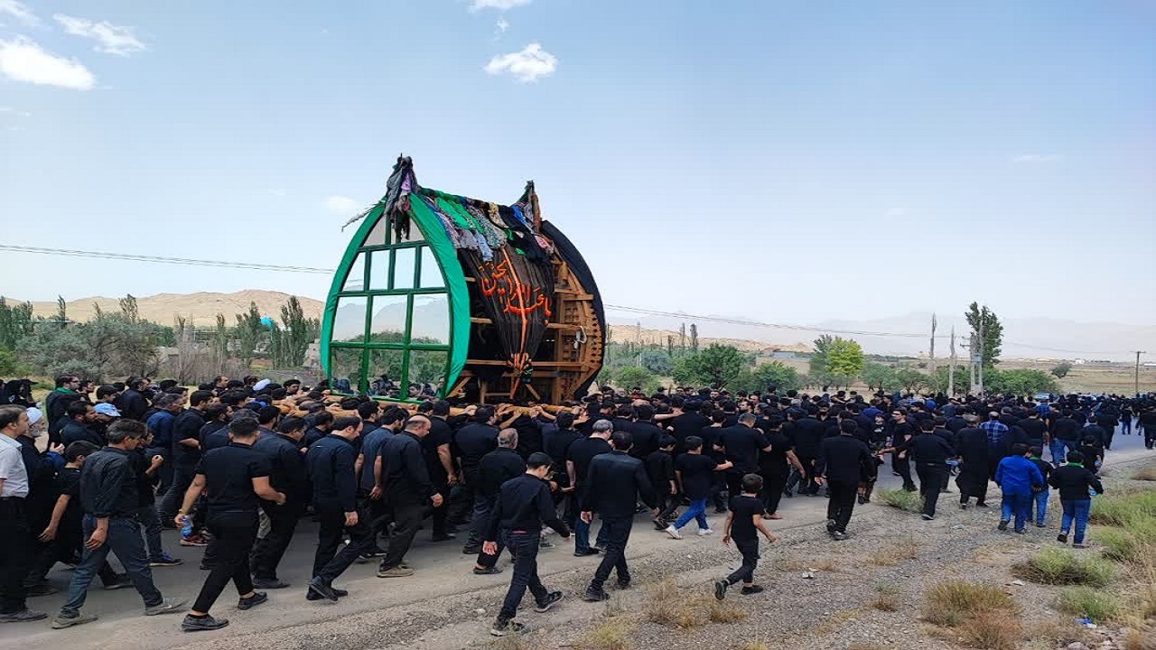 برگزاری مراسم نخل برداری در شهرستان‌های یزد+فیلم و عکس