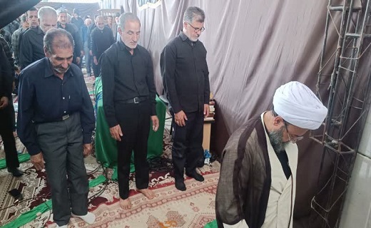 برگزاری مراسم نخل برداری در شهرستان&zwnj;های یزد+فیلم و عکس