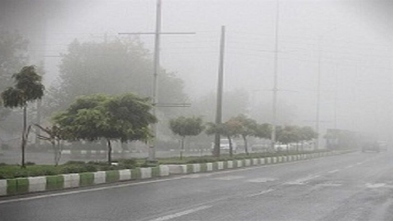 شرجی هوا در بوشهر ادامه دارد