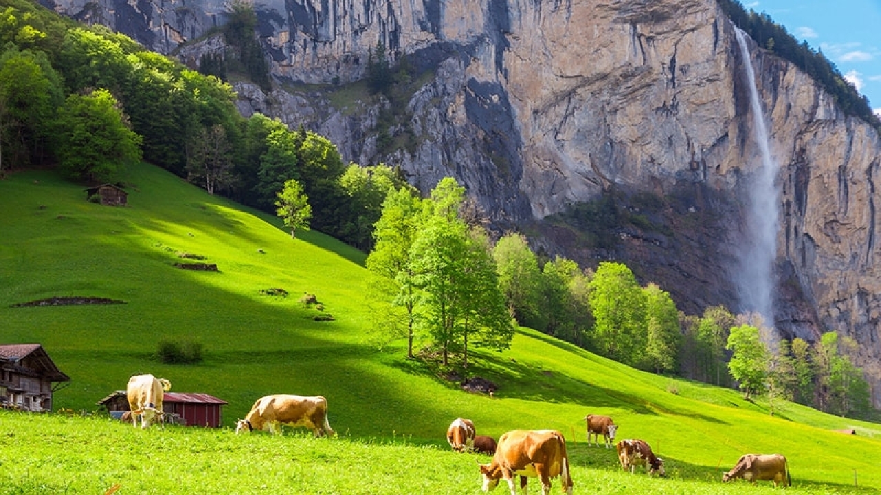 صحنه‌هایی زیبا از فضای زیبا و هوای آفتابی در سوئیس + فیلم