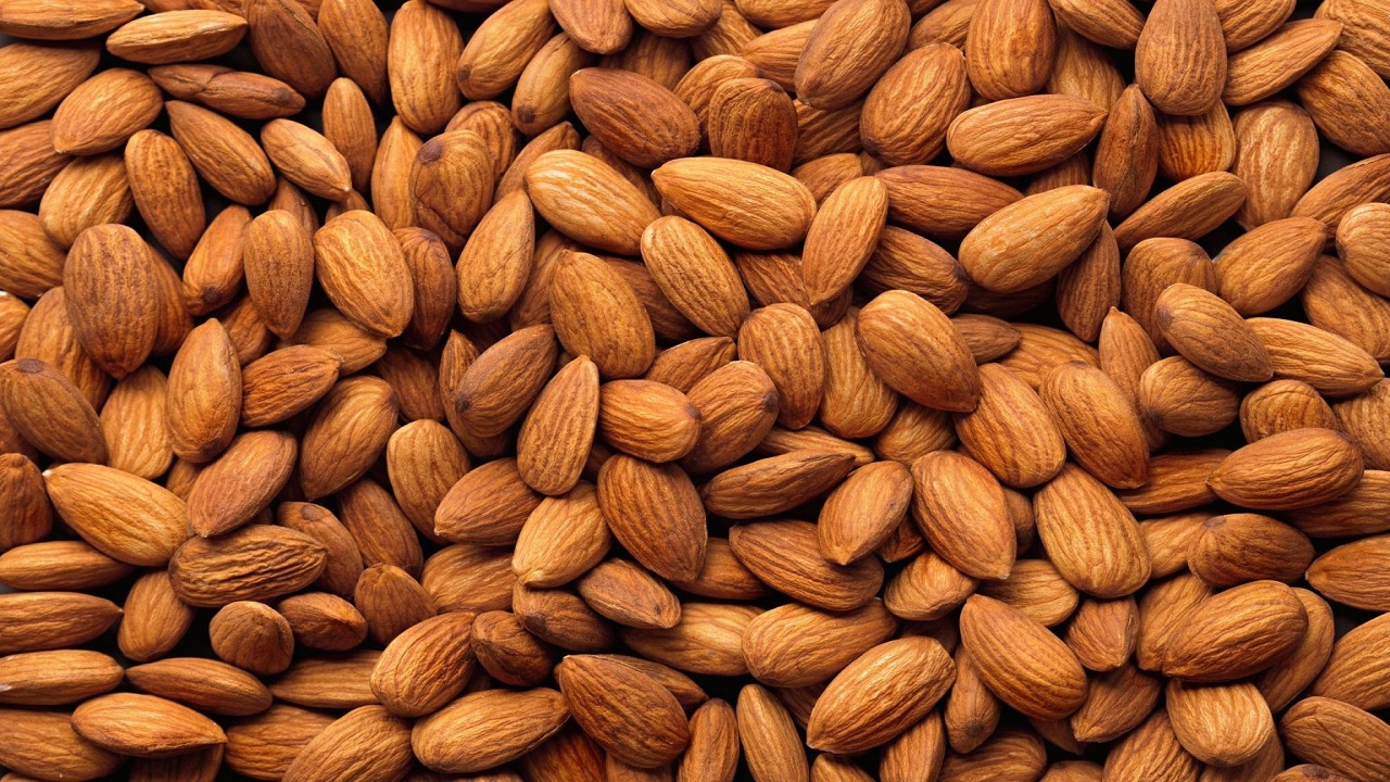 بادام به تنهایی ۶ درصد اقتصاد چهارمحال و بختیاری را در برمی گیرد