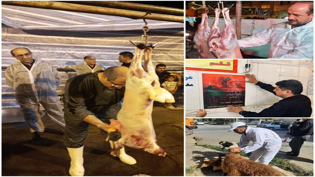 معاینه ۴۲۹ راس دام زنده قبل از کشتار در استان قزوین 