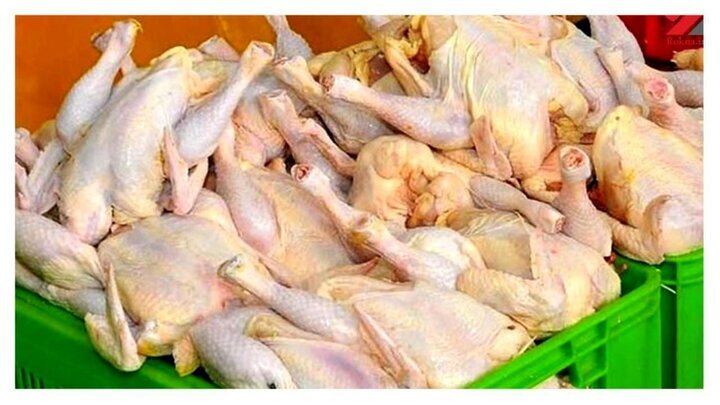 تعرفه واردات گوشت مرغ صفر شد