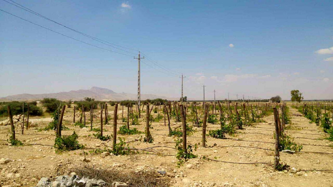 تعطیلی ادارات دولتی به جای خاموشی چاه‌های کشاورزی