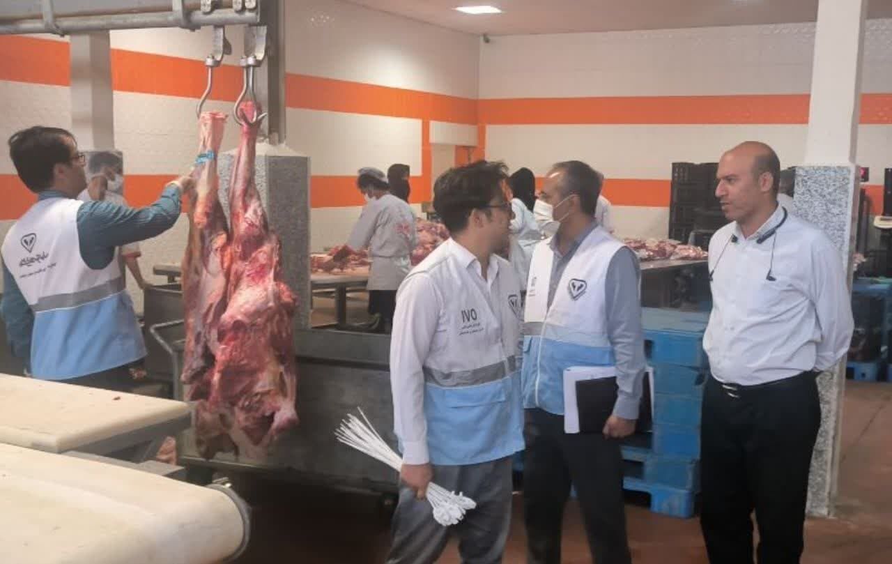 ۳۴۲ زائر پاکستانی در موکب‌های سلامت میرجاوه خدمات درمانی دریافت کردند