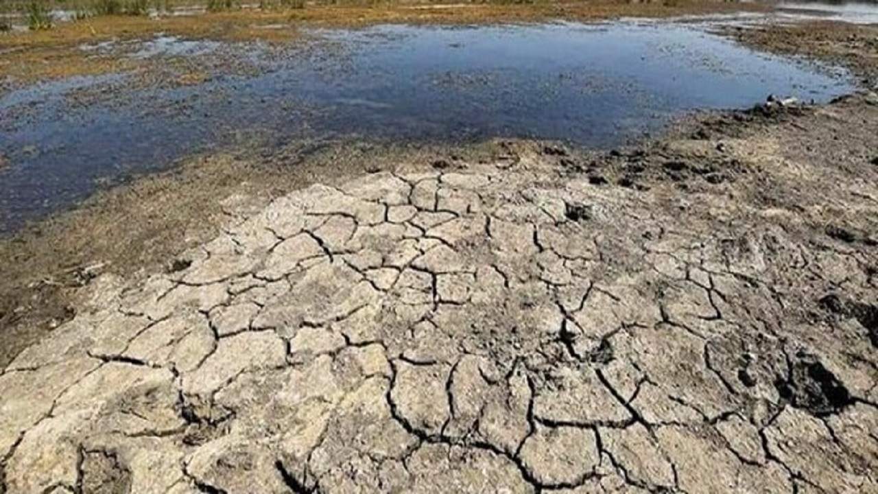 دوئل بختگان با تشنگی/ تیشه ای که ریزگردها، چاه‌های غیرمجاز و وعده‌های بی‌ثمر به تن تالاب زد