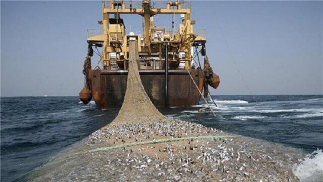 سازمان محیط زیست با صید ترال موافق نیست/ تاکید بر پرورش ماهی در دریا به جای صید