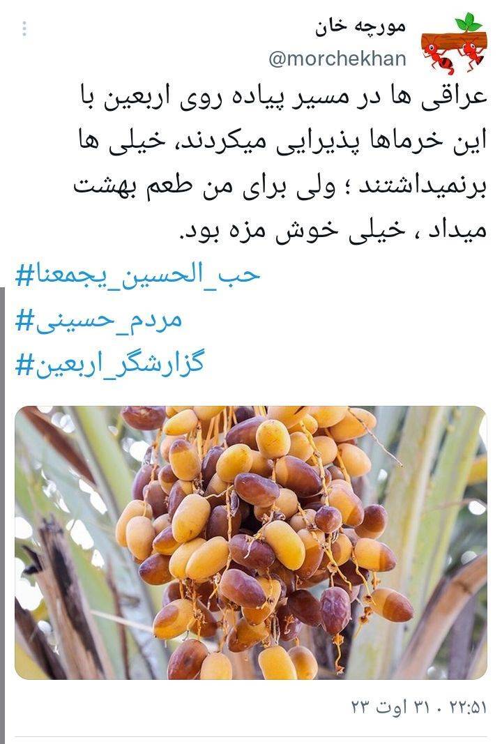 آنچه مردم در فضای مجازی از اربعین میگویند آنچه مردم در فضای مجازی از اربعین میگویند