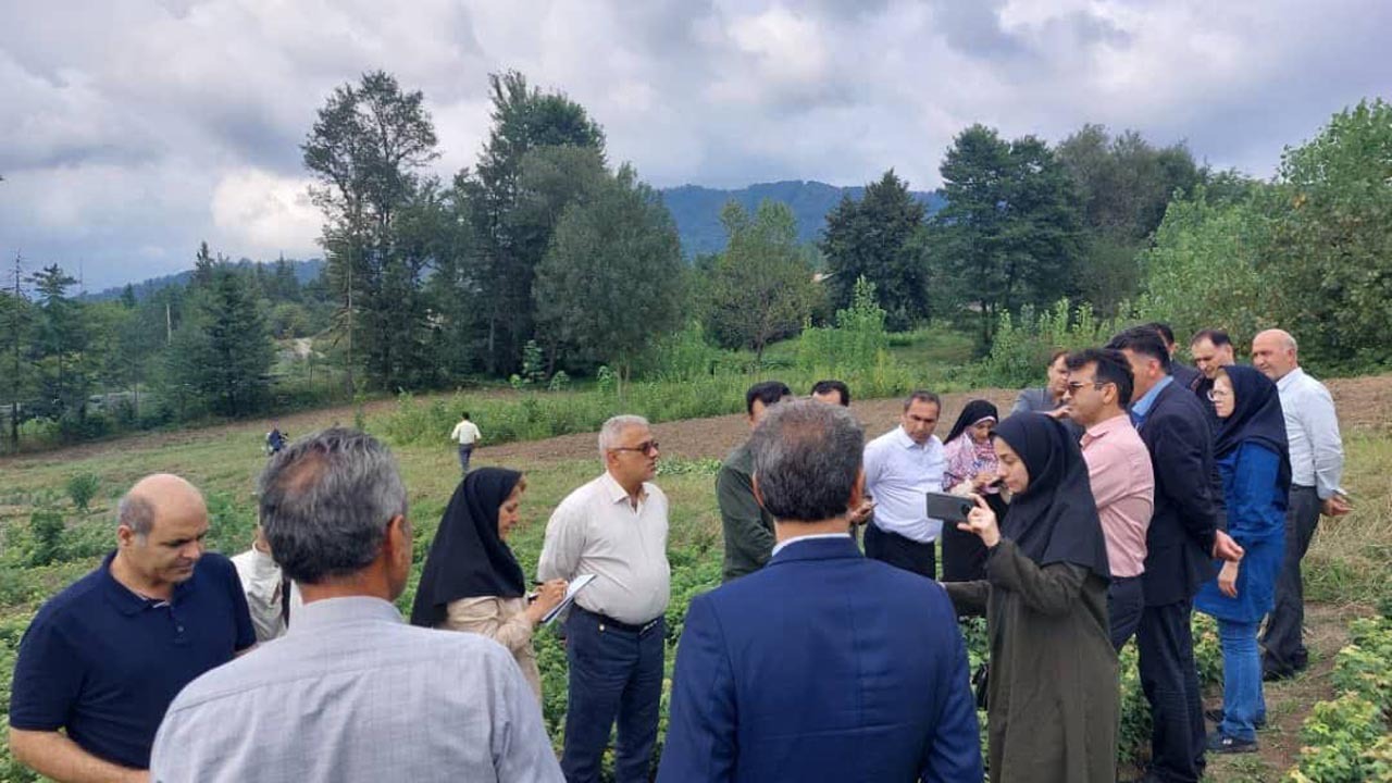 کاشت یک میلیارد درخت بدون واگذاری یک متر زمین