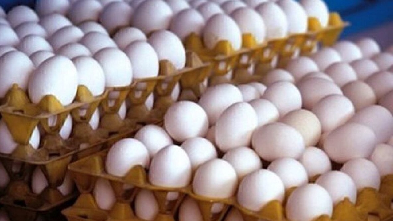 تخم مرغ به کمتر از قیمت مصوب رسید