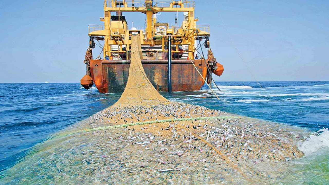 تجهیز شناور‌های صیادی به سیستم لحظه‎ای پایش برای جلوگیری از صید ترال