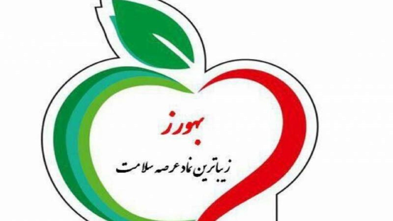 بهورزان سربازان خط مقدم سلامت در روستا هستند
