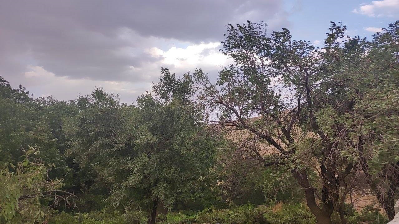 وزش طوفان در روستای گردشگری توآباد به وقت تابستان + فیلم و تصاویر