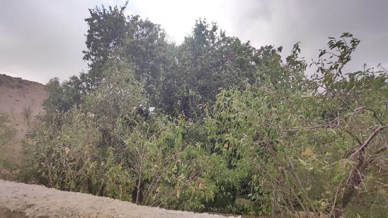 طوفان در روستای گردشگری توآباد
