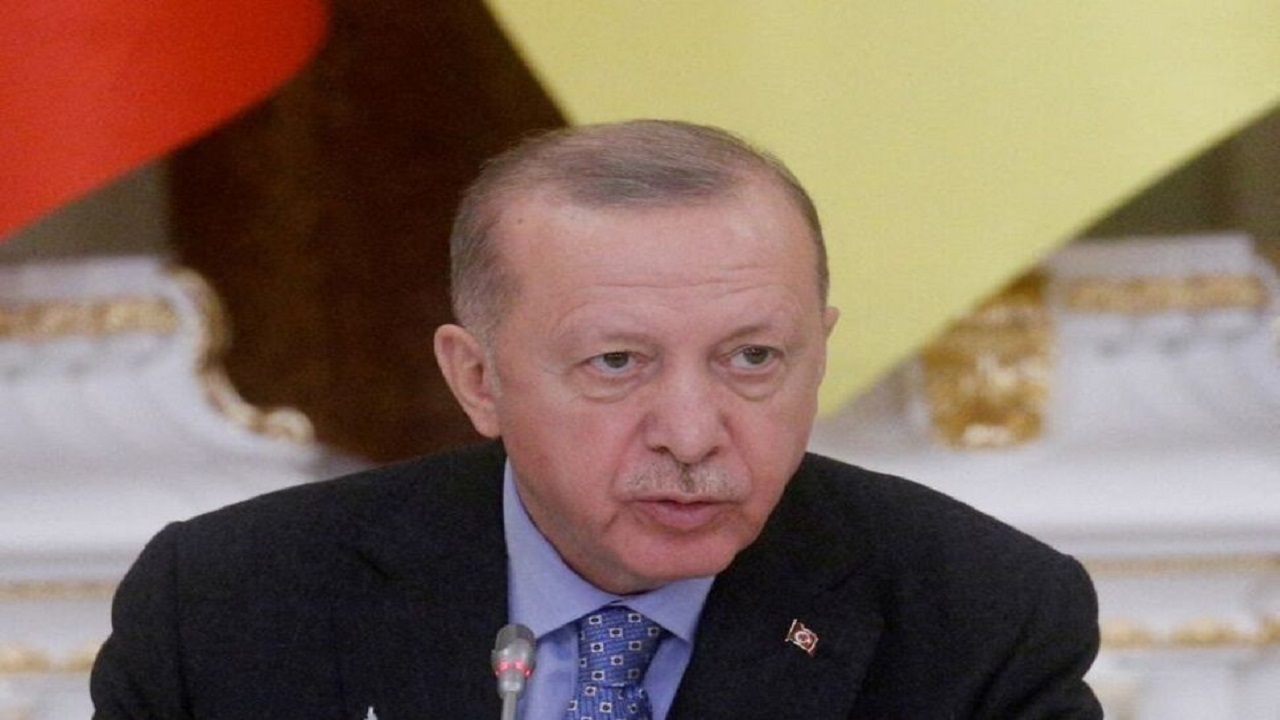 اردوغان: می‌توانیم در زمانی کوتاه توافق‌نامه صادرات غلات اوکراین را احیاء کنیم